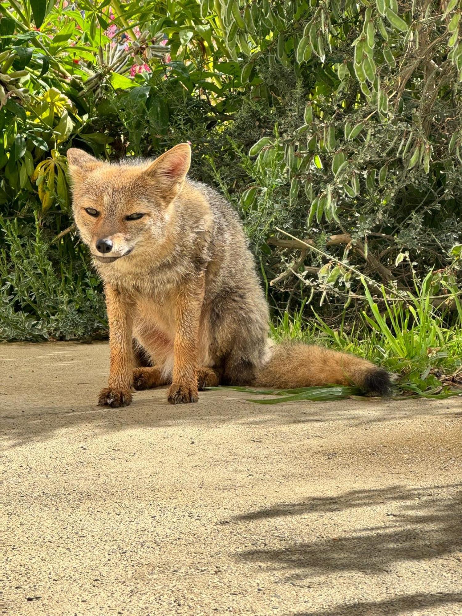 Alma Del Susana ウシュアイア エクステリア 写真